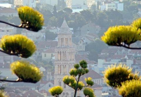 Spalato Damjan Esterno foto